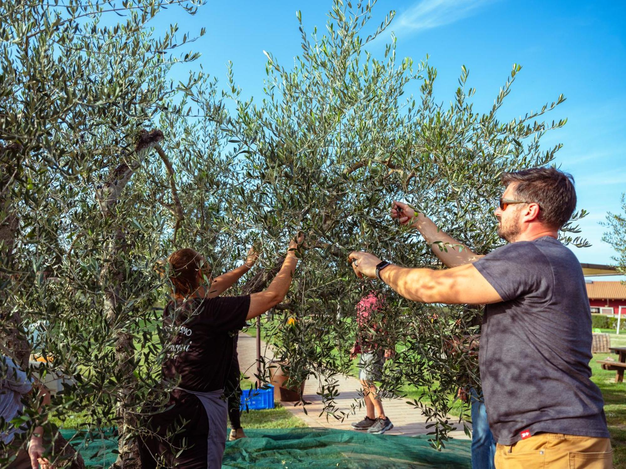 Agriturismo Pompilia Villamagna  Bagian luar foto